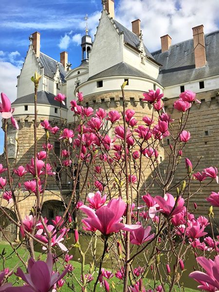 Toupie Shop au Chateau des Ducs Bretagne à Nantes