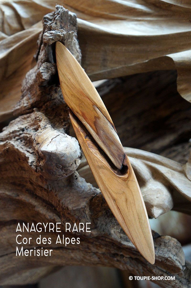 Curiosit s De La Nature Ces Anagyres En Bois Rares Sont Collector Curiosit s De La Nature Ces Anagyres En Bois Rares Sont Collector