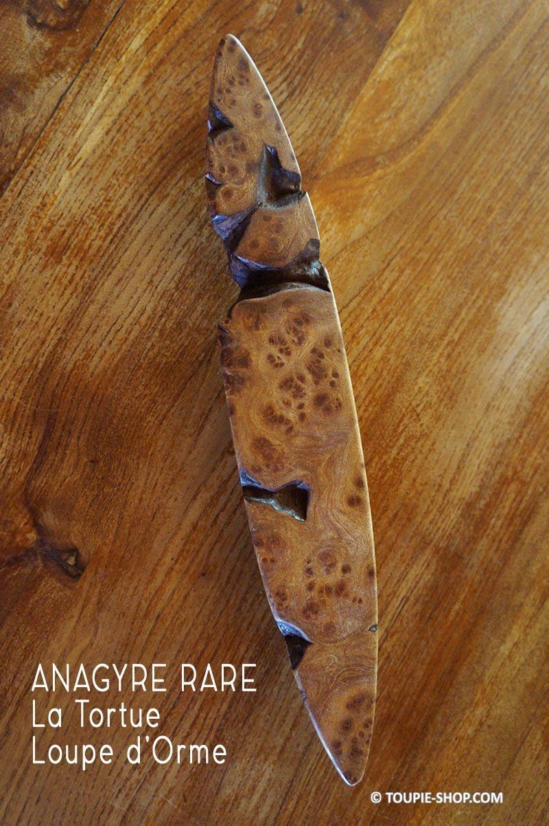 Curiosit s De La Nature Ces Anagyres En Bois Rares Sont Collector Curiosit s De La Nature Ces Anagyres En Bois Rares Sont Collector