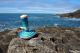 Bleu ocean Toupie Ficelle en Bois avec Lanceur Jouet Artisanal Achat Cadeau Original Jeux Enfant Photo Toupie Shop Cote de Jade