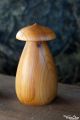Toupie Bolet champignon magique piece unique jeux en bois artisanal de fabrication francaise collection Toupie Shop