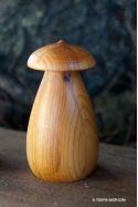 Toupie Bolet, champignon magique et jeu en bois artisanal de fabrication française