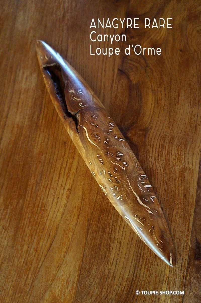 Curiosit s De La Nature Ces Anagyres En Bois Rares Sont Collector Curiosit s De La Nature Ces Anagyres En Bois Rares Sont Collector