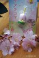 Merveille du Japon Toupie Sakura Fleur de Cerisier Collection Printemps Jouet Magique Japonais Cadeau Insolite Jeux Toupie Shop