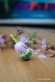 Jeux jouet fabrique japon sakura fleur de cerisier collection printemps cadeau magique objet insolite japonais Toupie Shop