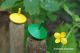 Toupies Jaune Vert Jouets en Bois Pour Enfant Couleurs Primaires Acheter Cadeau Anniversaire Fille Garcon Jeux Toupie Shop