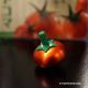 Mini Toupie Japonaise Tomate Cerise Cadeau Original Petit Jouet de Collection Fabrique au Japon Jeux Toupie Shop