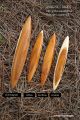  	3 Mousquetaires Toupies Anagyre en Bois Objet Insolite Artisanal Cadeau Original Made in France Acheter Jouet Jeux Toupie Shop
