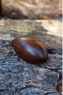 Toupie Oeuf en Bois d’Ebène Verte Cadeau et Jeu original pour Pâques ! Fabriqué en France