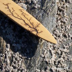 Anagyre Arbre de Vie Toupie en Bois Figure Lichtenberg Cadeau Artisanal Acheter Objet Insolite Fabrique en France