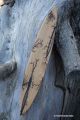  	Belle Histoire Anagyre Arbre de Vie en Bois Yggdrasil Toupie Originale Ebene Blanc Cadeau Artisanal Unique Fabrication France 