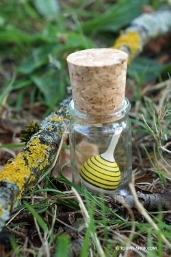 Mini Toupie Abeille Jeux en Bois Fiole en Verre Jouet Artisanal Cadeau Original Collection Toupie Shop