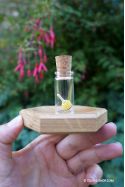 Nano, la plus petite toupie de la collection Abeille ! Mini jeu en bois artisanal, original
