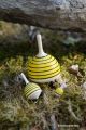 Abeilles miel apiculteur mini toupies en bois erable acheter petit jouet apicole fabrication artisanale magasin toupie shop