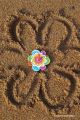  	fleur jeux en bois achat toupie jouet eveil couleur cadeau animation activite enfant magasin jouets nantes toupie shop