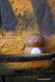 Petit pingouin en bois naturel toupie artisanale fabrique en france tourneur sur bois achat piece unique cadeau jeux jouet noel
