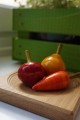 Collection de Toupies Fruits Légumes Avec Plateau en Bois Jeux Enfant Cadeau Adulte Deco Toupie Shop Boutique Magasin Jouets