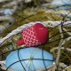 Acheter Toupie en Bois Artisanal Poisson Jouet en Bois pas cher Jeux Enfant Adulte Toupie Shop Magasin Jouets Bois