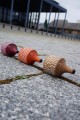 Hérisson Toupie Enfant Jeux Toupies Bois Artisanal Jouet en Bois pas cher Toupie Shop Magasin Jouets