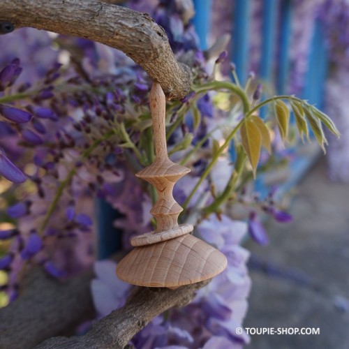 La Précieuse Jouet Toupie en Bois Artisanal avec Anneau Fabriqué en France Jeux Adulte Toupie Shop