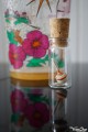  	Nano Toupie en Bois Artisanal dans Fiole en Verre Mini Jeux Toupie Shop Magasin de Jouet en Bois Cadeau Original Fete Meres