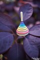 Rainbow Petite Toupie Jouet Bois Artisanal + Fiole en Verre Collection Mini Toupie Shop Magasin Jeux Spécialisé Toupie Achat