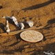 Boussole en Bois de Peuplier Jeux de Toupie Jouet Artisanal Sous-Bock Toupie Shop Jeu Fabriqué en France