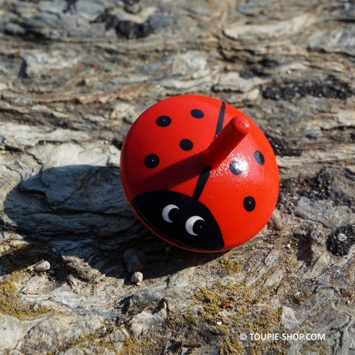 La Petite Toupie Coccinelle Est Un Jouet En Bois Pour Un Cadeau Enfant