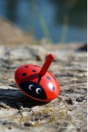 Petite Toupie Coccinelle Jouet en Bois pour Enfant