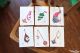 Collection de Cartes Postales Anniversaire Voeux Dessin Aquarelle Toupie Shop Magasin Jouet Cadeau Jeux Achat Toupies en Bois 