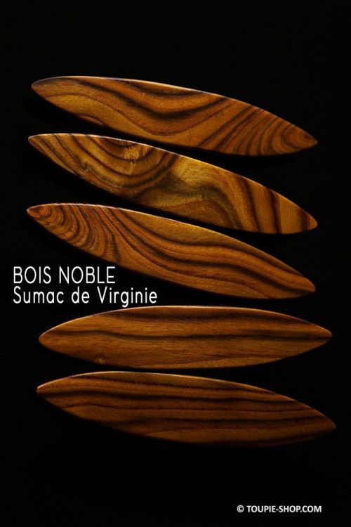 Rattleback Anagyre Toupie Bois Noble Local Sumac de Virginie Jeu Artisanal Scientifique Fabrique France Collection Toupie Shop