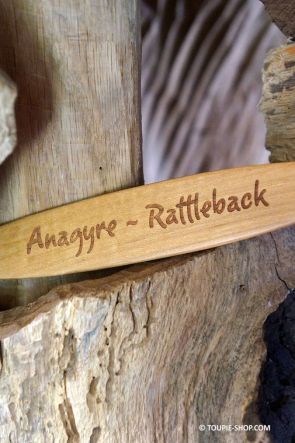 Anagyre Rattleback Toupie en Bois avec Citation Jeux Scientifiques Cadeau qui a du Sens Fabrique France Collection ToupieShop