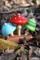 Collection Toupies Champignons Jeux Bois avec Support de Presentation Toupie Shop Boutique Jouet en Bois Jeu Enfant Cadeau Noel