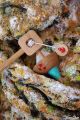 Jouet en Bois pour Enfant Jeux pour Apprendre comment lancer toupie ficelle Toupie Shop Magasin Jouets Achat Toupies