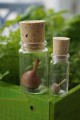 Mini-Pouce Petit Jouet en Bois Naturel Jeu Artisanal Fait Main Cadeau Original Collection Toupie Shop Boutique Jeux de Toupies