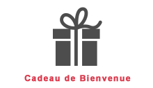 Cadeau de bienvenue Toupie Shop.com